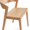 Conjunto comedor RENMA L